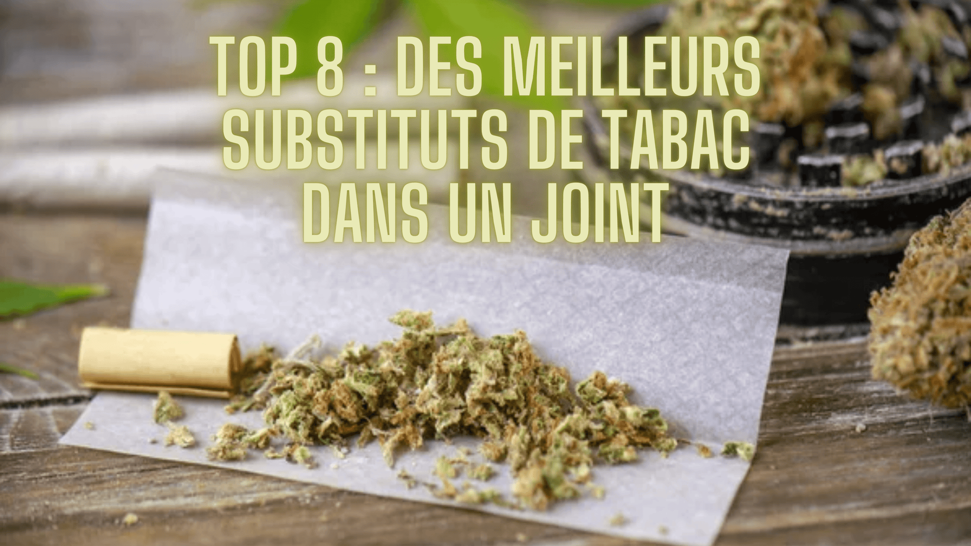 Top 8 des meilleurs substituts de tabac dans un joint - Hempetik CBD Shop